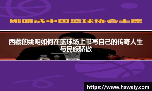 williamhill威廉希尔平台